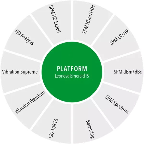 An illustration of a circle with the text 'Platform - Leonova Emerald IS' in the center, surrounded by various segments representing the platform's features.